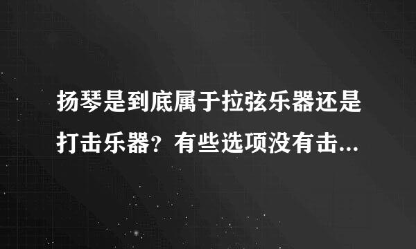 扬琴是到底属于拉弦乐器还是打击乐器？有些选项没有击弦这个词语