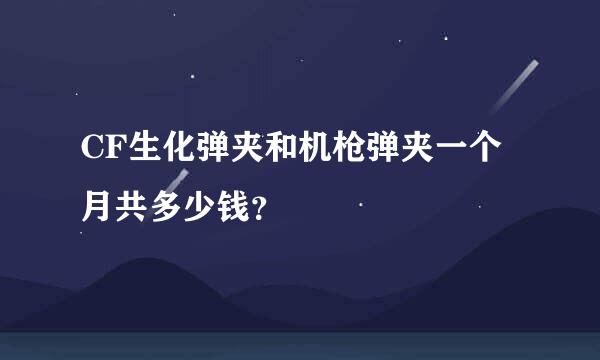 CF生化弹夹和机枪弹夹一个月共多少钱？