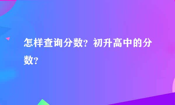 怎样查询分数？初升高中的分数？