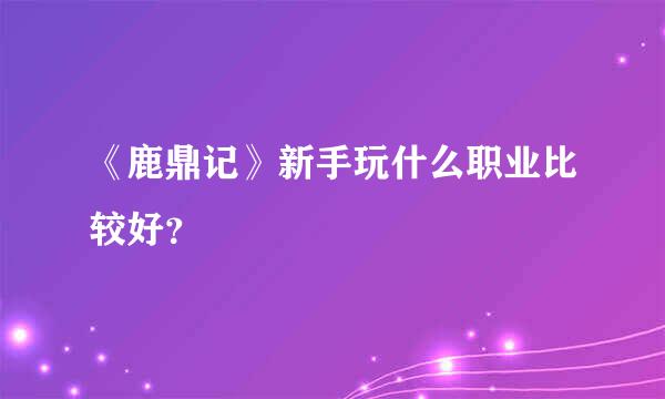 《鹿鼎记》新手玩什么职业比较好？