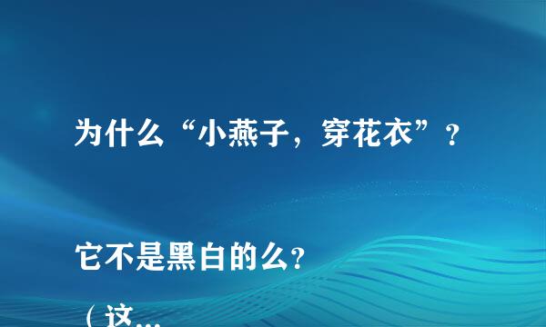 为什么“小燕子，穿花衣”？
它不是黑白的么？
（这个问题困扰了我整个童年！）