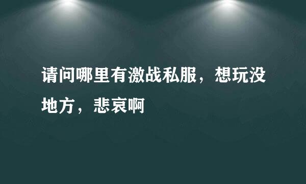 请问哪里有激战私服，想玩没地方，悲哀啊