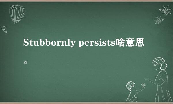 Stubbornly persists啥意思。