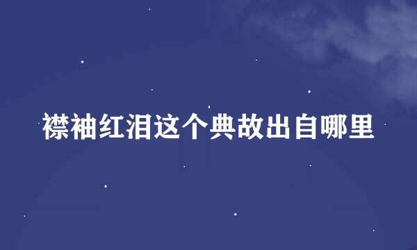 襟袖红泪这个典故出自哪里