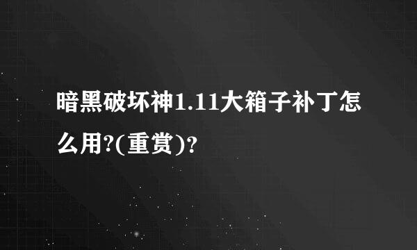 暗黑破坏神1.11大箱子补丁怎么用?(重赏)？