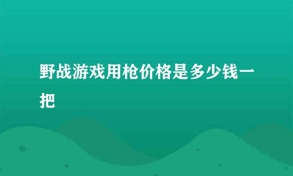 野战游戏用枪价格是多少钱一把