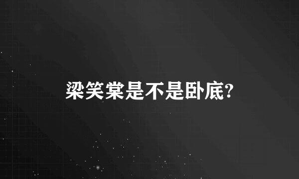 梁笑棠是不是卧底?