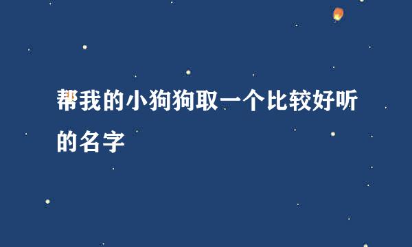 帮我的小狗狗取一个比较好听的名字