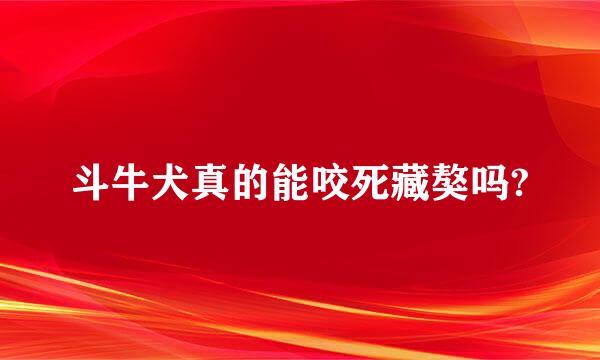 斗牛犬真的能咬死藏獒吗?