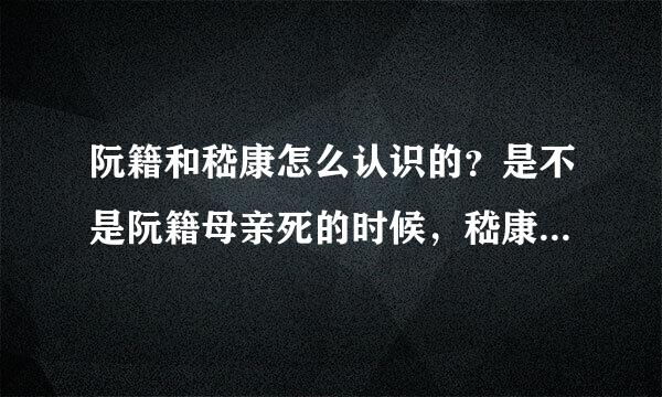 阮籍和嵇康怎么认识的？是不是阮籍母亲死的时候，嵇康拜见他的那次