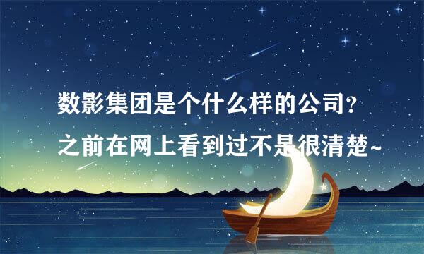 数影集团是个什么样的公司？之前在网上看到过不是很清楚~