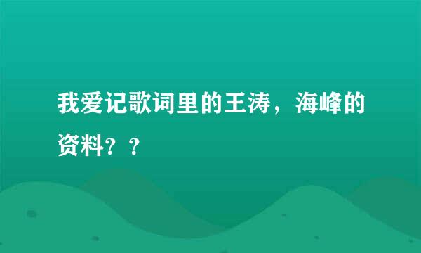 我爱记歌词里的王涛，海峰的资料？？