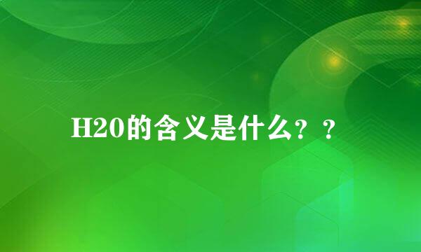 H20的含义是什么？？