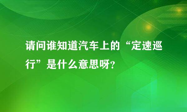 请问谁知道汽车上的“定速巡行”是什么意思呀？