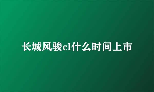 长城风骏cl什么时间上市