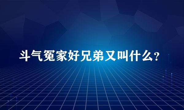 斗气冤家好兄弟又叫什么？