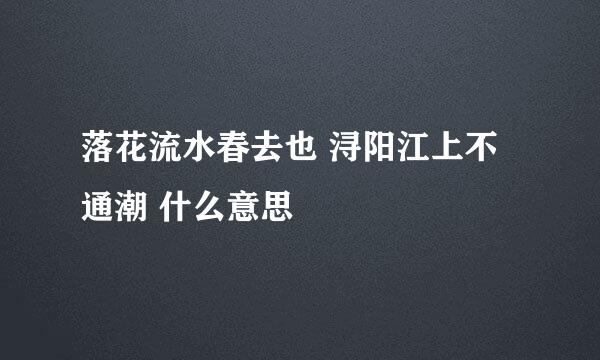 落花流水春去也 浔阳江上不通潮 什么意思