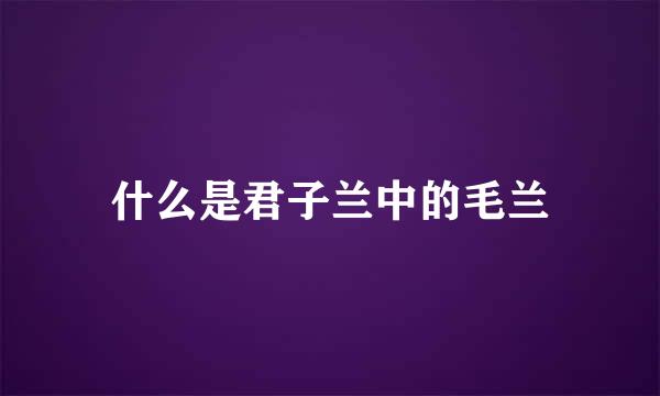 什么是君子兰中的毛兰