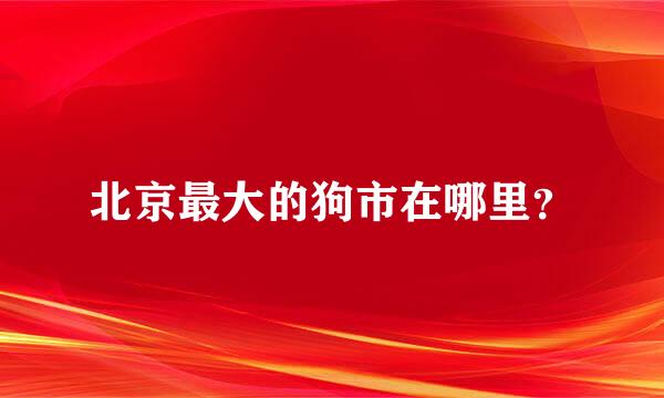 北京最大的狗市在哪里？