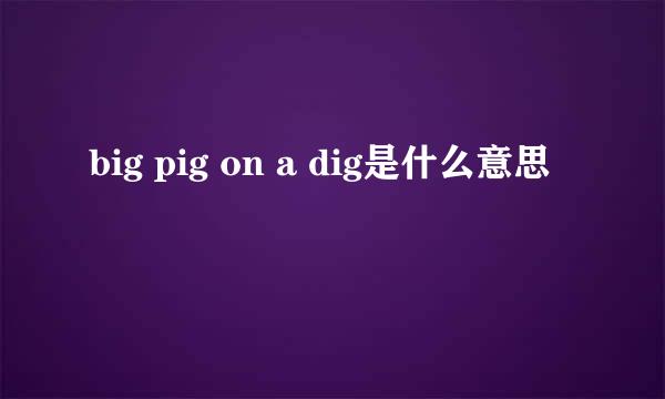 big pig on a dig是什么意思