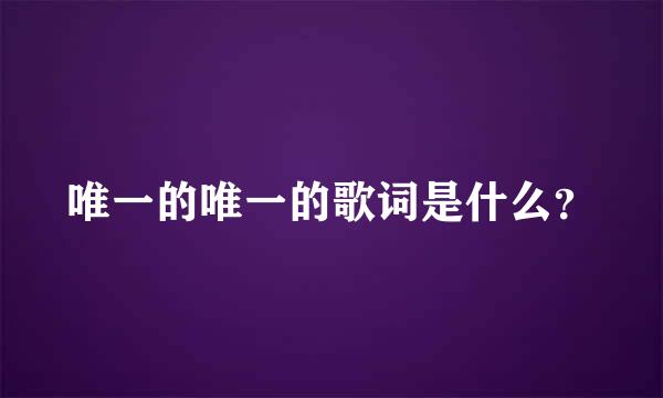 唯一的唯一的歌词是什么？