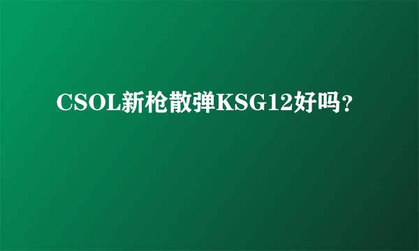 CSOL新枪散弹KSG12好吗？