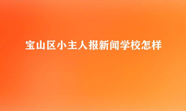 宝山区小主人报新闻学校怎样