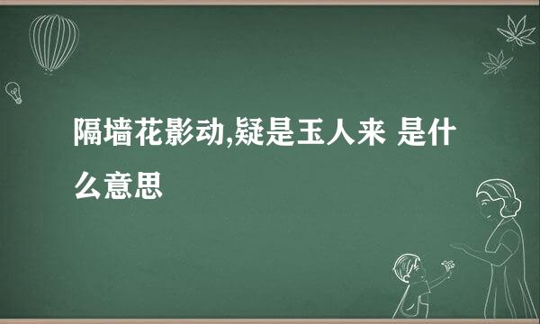 隔墙花影动,疑是玉人来 是什么意思