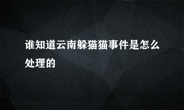 谁知道云南躲猫猫事件是怎么处理的