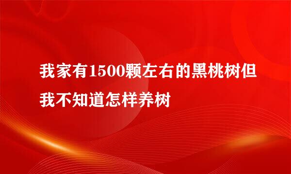 我家有1500颗左右的黑桃树但我不知道怎样养树