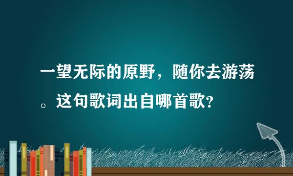 一望无际的原野，随你去游荡。这句歌词出自哪首歌？