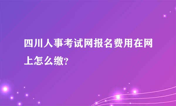 四川人事考试网报名费用在网上怎么缴？