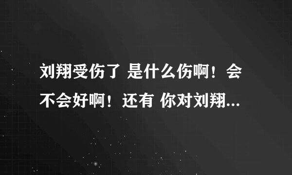 刘翔受伤了 是什么伤啊！会不会好啊！还有 你对刘翔出事的观点