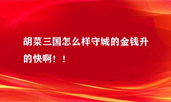 胡菜三国怎么样守城的金钱升的快啊！！