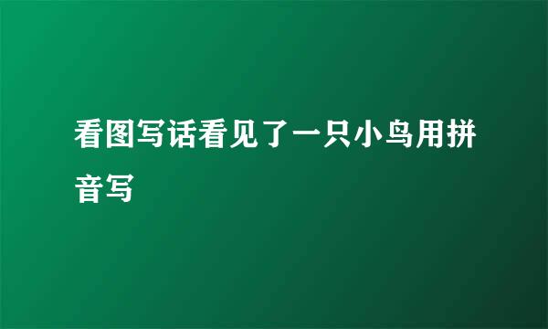 看图写话看见了一只小鸟用拼音写