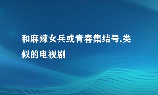 和麻辣女兵或青春集结号,类似的电视剧