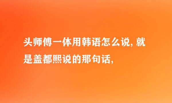 头师傅一体用韩语怎么说, 就是盖都熙说的那句话,