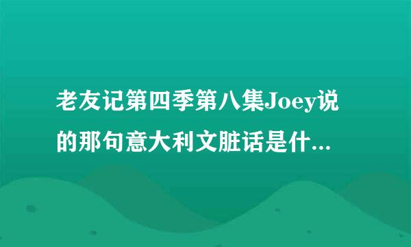 老友记第四季第八集Joey说的那句意大利文脏话是什么意思？