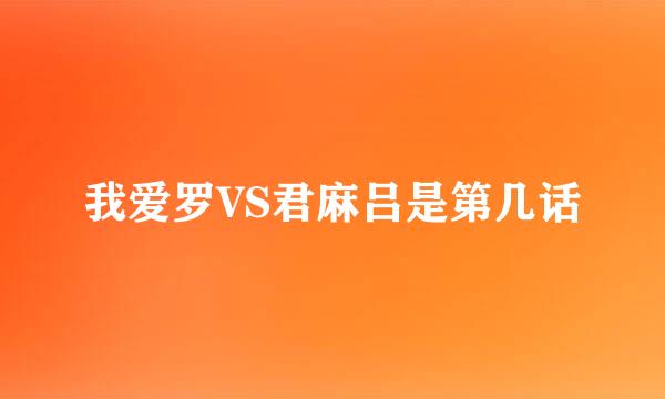 我爱罗VS君麻吕是第几话