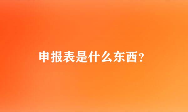 申报表是什么东西？