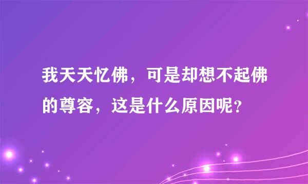 我天天忆佛，可是却想不起佛的尊容，这是什么原因呢？