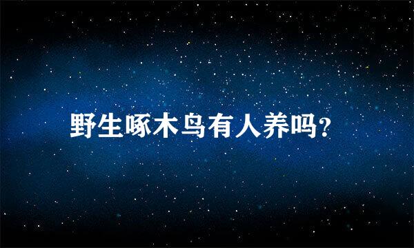 野生啄木鸟有人养吗？