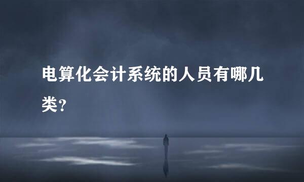 电算化会计系统的人员有哪几类？