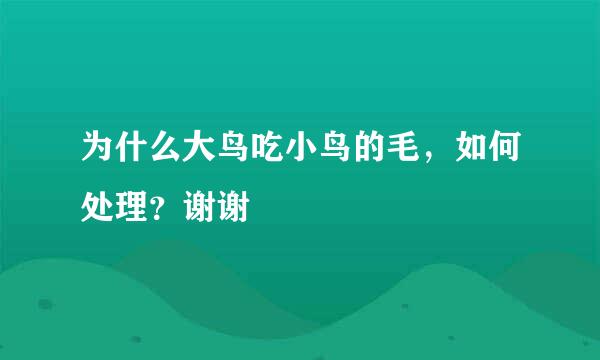 为什么大鸟吃小鸟的毛，如何处理？谢谢