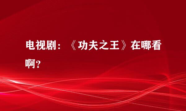 电视剧：《功夫之王》在哪看啊？