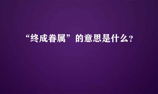 “终成眷属”的意思是什么？