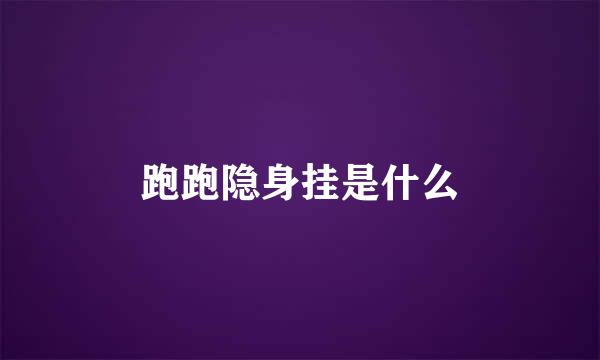 跑跑隐身挂是什么