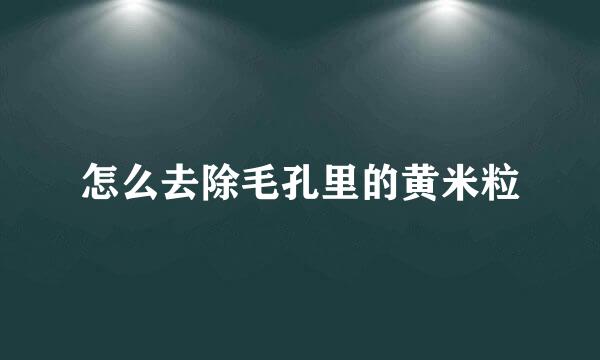 怎么去除毛孔里的黄米粒