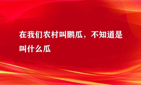 在我们农村叫鹏瓜，不知道是叫什么瓜