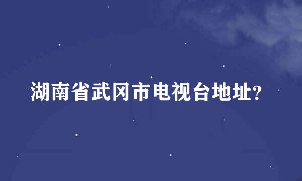 湖南省武冈市电视台地址？